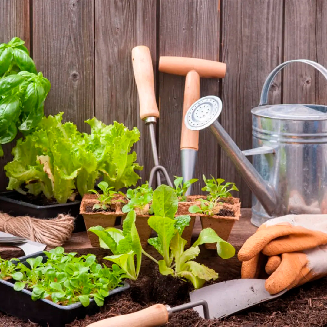 Horta caseira com vasos simples, ervas frescas e ferramentas básicas em um ambiente aconchegante.