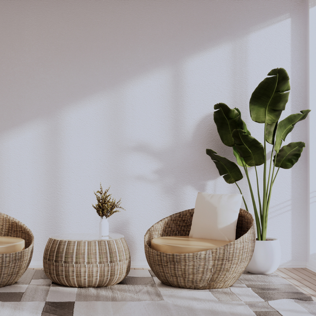 oração com plantas em vasos elegantes, trazendo mais verde e aconchego para a casa.